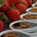 Xsite Foods Catering