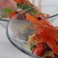 Xsite Foods Catering